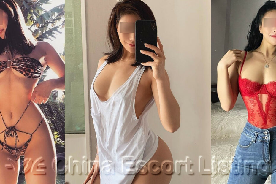 济南伴游 Jinan Escort - 雁南飞 Yànnán fēi